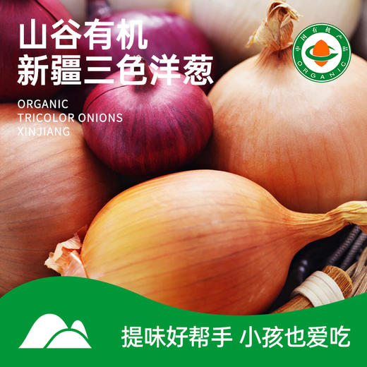 【有机三色洋葱】有机种植   净重5斤左右  产地新疆 商品图0