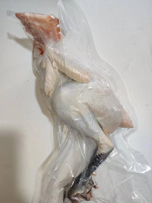 【包邮到家｜密云散养溜达鸡（500天以上）】无饲料无任何添加剂 来自北京市水源地密云的山地放养，真土鸡！才够香！ 现杀现发，48小时内发出！ 商品图10