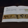 伟大的中国绘画：图解传世珍品及其背后的故事跨越千年的中国绘画艺术 商品缩略图6