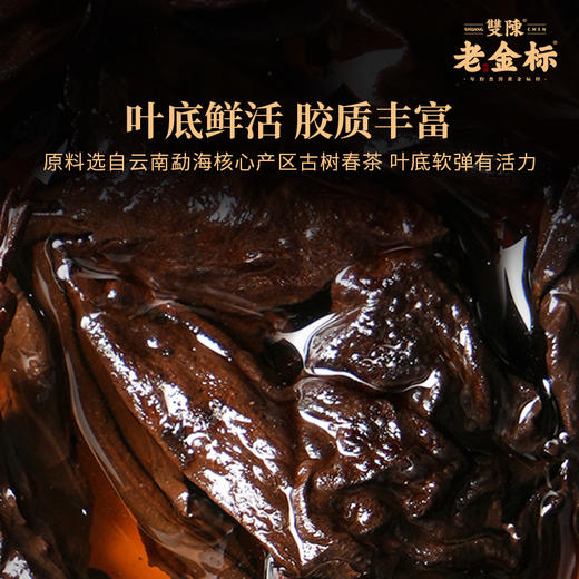 双陈老金标20年陈年份熟茶20g盒居家闷泡招待亲友高档实木礼盒120g盒送礼心意足 商品图3