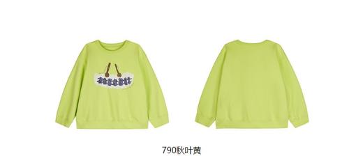 jnby  23年秋款  圆领套头卫衣  1N9411510 商品图14