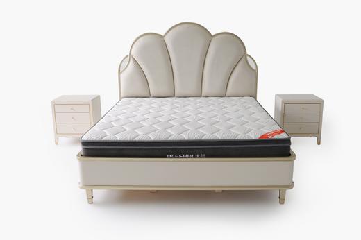 大信床 DXPC2310 商品图2