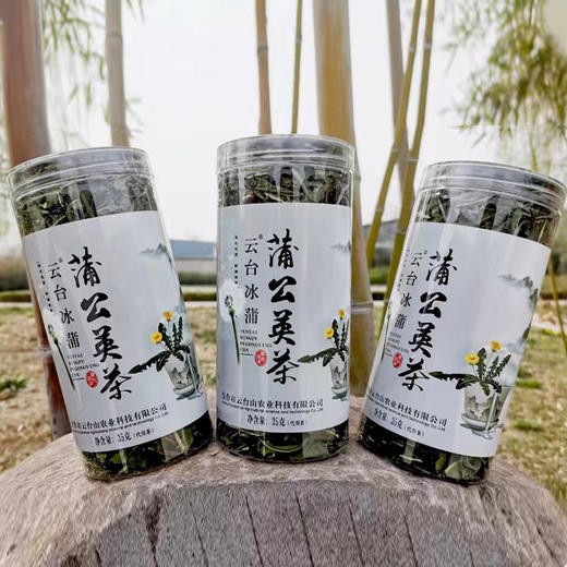 云台冰蒲丨蒲公英茶 花草茶 35g 商品图4