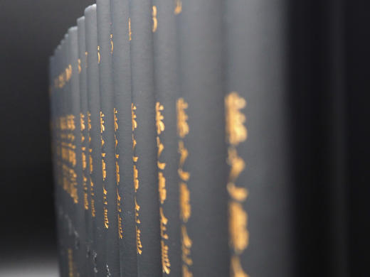 重磅推荐丨《陈之佛全集》（全16卷） 商品图4