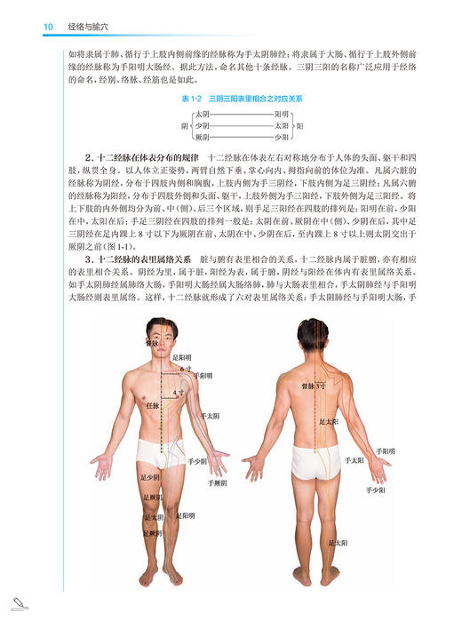 经络与腧穴 第5版 王德敬 卫健委十四五规划教材 全国中医药高职高专教育教材 供针灸推拿专业用 人民卫生出版社9787117349871 商品图3