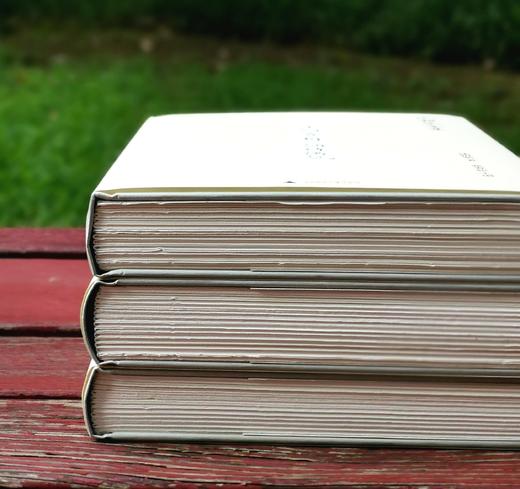 毛边精装本！！《沈祖棻全集》（前三卷）：《微波词 辩才集》《唐人七绝诗浅释》《宋词赏析 诵诗偶记》沈祖棻著，32开， 共1228页，广西师范大学出版社2023年8月一版一印。定价249，售价199.2 商品图3