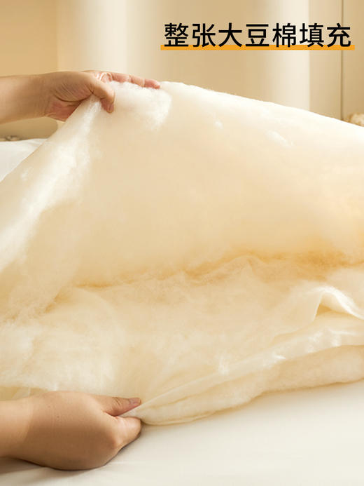 高端床品血本清货❗李官奇大豆被、A类yi菌秋冬被芯、冬季厚被子、超柔云端手感·软糯贴身、送手提袋 商品图3