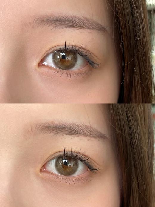 jellibo 水波光棕/水波光灰 14.5mm 日常温柔款 年抛 商品图6