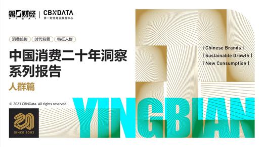 《中国消费行业二十年洞察系列报告：人群篇》：十大典型特征人群分析 商品图0