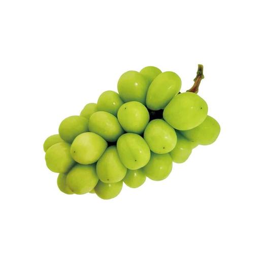 阳光玫瑰青提 约500G /份 /份 商品图1