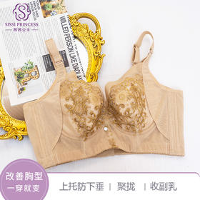 上托聚拢收副乳软钢圈惊鸿调整型文胸