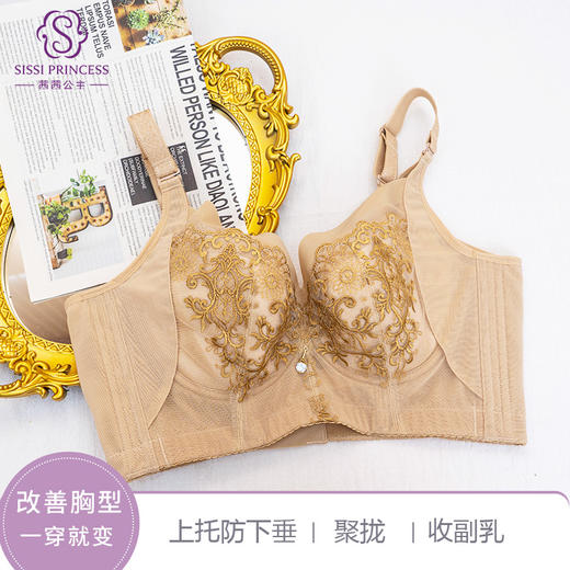 上托聚拢收副乳软钢圈惊鸿调整型文胸 商品图0