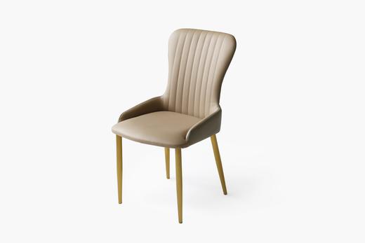 大信餐椅 DX23-013YZ 商品图0