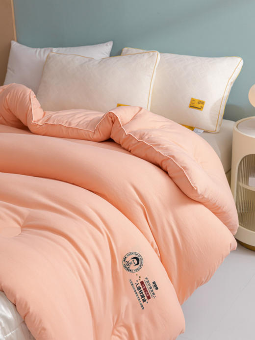 高端床品血本清货❗李官奇大豆被、A类yi菌秋冬被芯、冬季厚被子、超柔云端手感·软糯贴身、送手提袋 商品图4