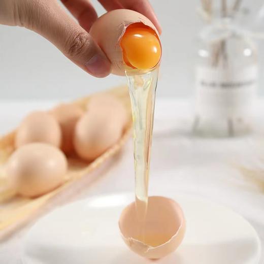 散养土鸡蛋 柴鸡蛋 新鲜土鸡蛋 月子蛋 老母鸡营养蛋50枚装 商品图2