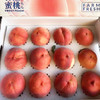 【桃李芬芳，精品礼盒】龙泉驿水蜜桃（12枚装） 商品缩略图1