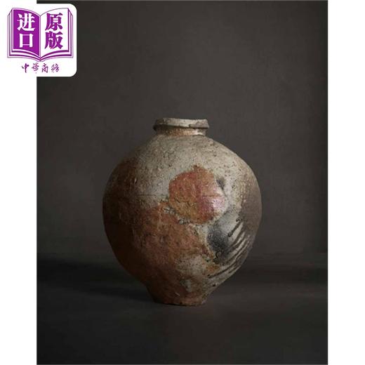 预售 【中商原版】Shiro Tsujimura : Ceramic Art and Painting 进口艺术 辻村史朗：陶艺与绘画 日本陶艺家设计集 商品图3
