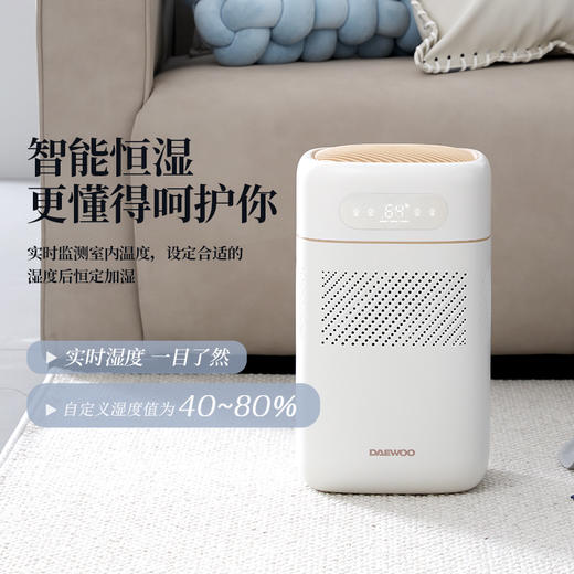 【年度最新爆款】大宇PH02加湿器 商品图3