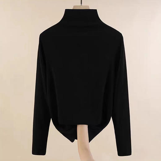 【女士打底衫秋冬必备】SCHIESSER德国舒雅女士半高领长袖打底衫里层轻磨毛，可打底可单穿保暖 最大尺码XXL30/21832Q 商品图2