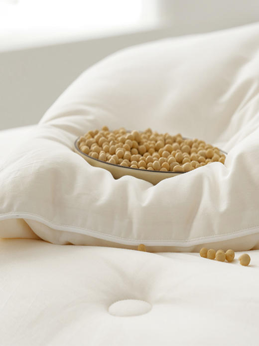 高端床品血本清货❗李官奇大豆被、A类yi菌秋冬被芯、冬季厚被子、超柔云端手感·软糯贴身、送手提袋 商品图8