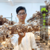生态竹荪干（纯杆无伞） | 绿家自产* Ecological dried bamboo fungus | Self-production 商品缩略图1