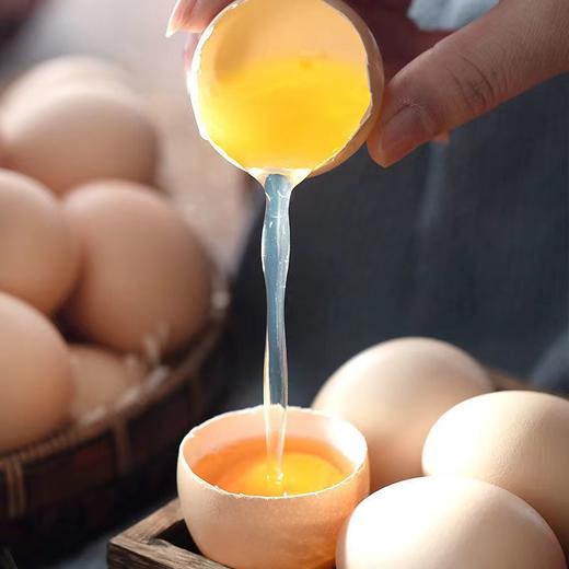 散养土鸡蛋 柴鸡蛋 新鲜土鸡蛋 月子蛋 老母鸡营养蛋50枚装 商品图7