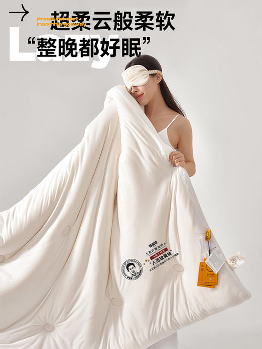 高端床品血本清货❗李官奇大豆被、A类yi菌秋冬被芯、冬季厚被子、超柔云端手感·软糯贴身、送手提袋 商品图2