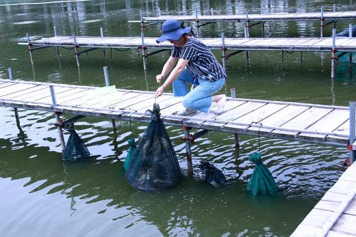 秋风起，蟹脚痒，一起去捞蟹啦 商品图3