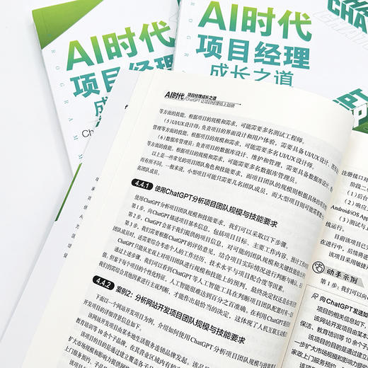 AI时代项目经理成长之道：ChatGPT让项目经理插上翅膀 关东升 著 北京大学出版社 商品图4