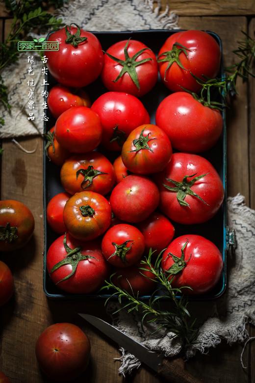 日本品种 青橙甜番西红柿 番茄  酸酸甜甜 自然成熟 商品图5