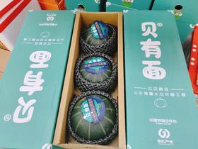 贝有面南瓜（3粒)2盒