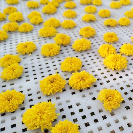 云台冰菊丨怀菊花 菊花茶 花草茶 25g 河南焦作 绿色食品认证 朵朵饱满 四大怀药之一 商品图2