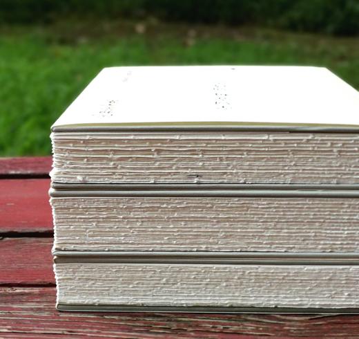 毛边精装本！！《沈祖棻全集》（前三卷）：《微波词 辩才集》《唐人七绝诗浅释》《宋词赏析 诵诗偶记》沈祖棻著，32开， 共1228页，广西师范大学出版社2023年8月一版一印。定价249，售价199.2 商品图5