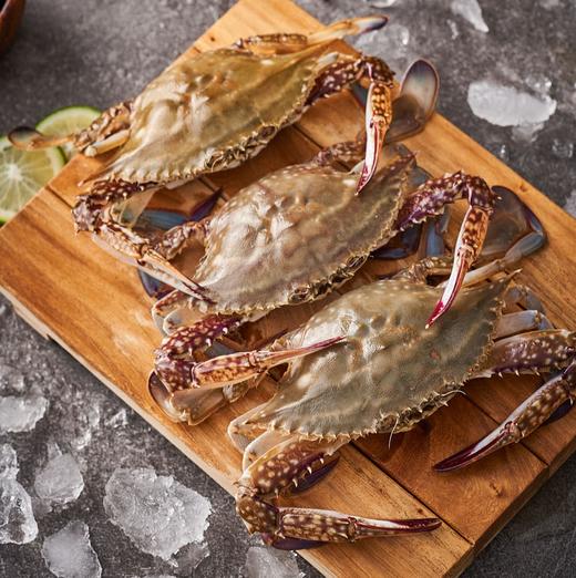 【金蛇献瑞】至鲜甄选礼盒（会员专享👑） 商品图4