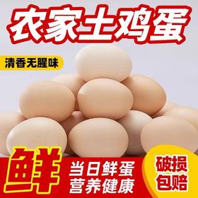 散养土鸡蛋 柴鸡蛋 新鲜土鸡蛋 月子蛋 老母鸡营养蛋50枚装