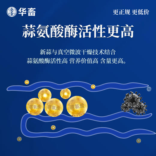 华畜浓缩蒜素2.8kg  蒜香浓郁更诱食 多糖含量高 含丰富蒜氨酸 禽畜水产用 商品图2