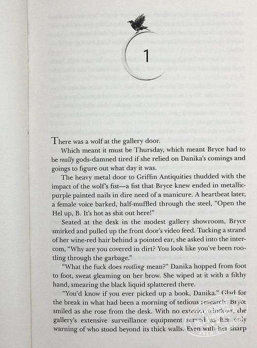 【中商原版】大地与血之屋 新月市系列  House of Earth and Blood 英文原版 Sarah J Maas 奇幻惊悚小说 商品图4