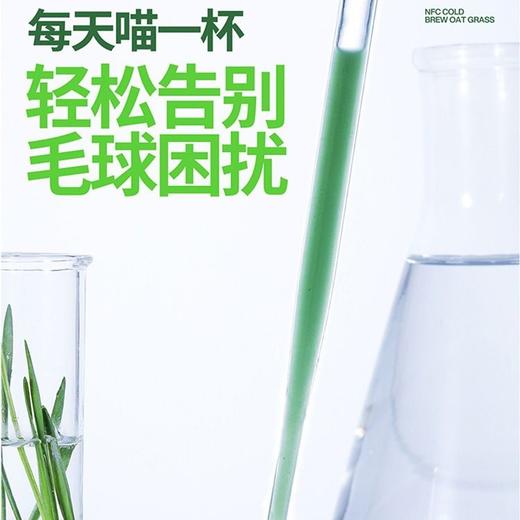 尾巴生活液体猫草猫咪即食化毛清理肠胃助消化排毛球20ml/颗 商品图3