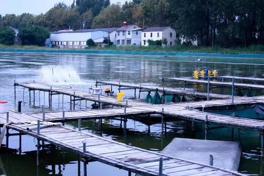 秋风起，蟹脚痒，一起去捞蟹啦 商品图2