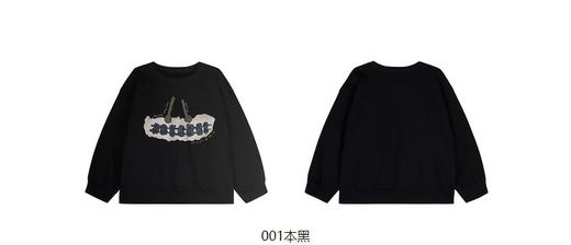 jnby  23年秋款  圆领套头卫衣  1N9411510 商品图13