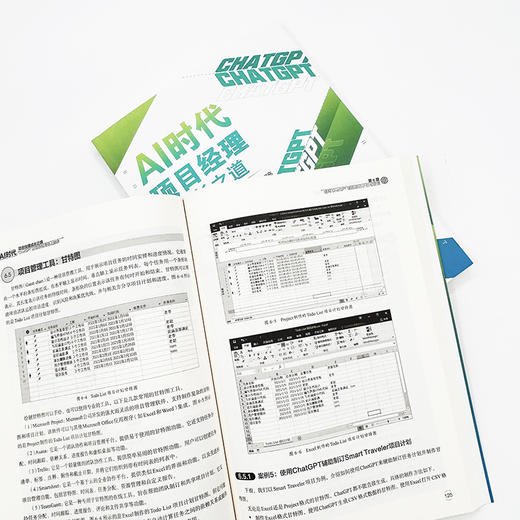 AI时代项目经理成长之道：ChatGPT让项目经理插上翅膀 关东升 著 北京大学出版社 商品图3