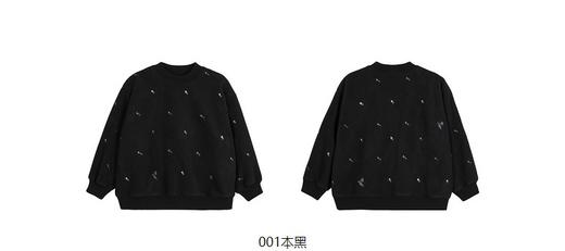 jnby  23年秋款 套头卫衣  1N9411950 商品图13