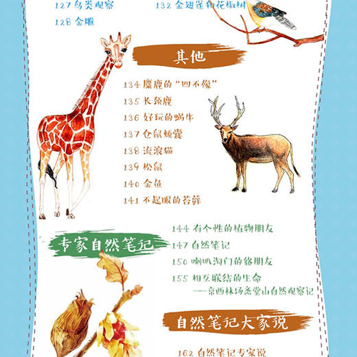 《自然观察笔记（第三届）》《自然观察笔记125例——培养板报小能手》（共2册） 商品图5