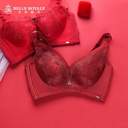 皇家丽美舒适柔软无钢圈内衣女小胸显大聚拢调整型收副乳文胸WW086-3 商品图1