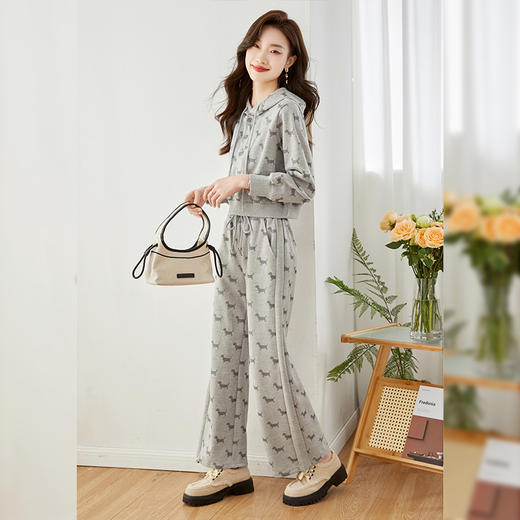 秋季新款，时尚洋气休闲卫衣+直筒阔腿运动裤两件套HR-SSFB2781 商品图4