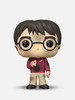 Funko POP Harry Potter 哈利波特魔法石手办摆件 57366 商品缩略图3