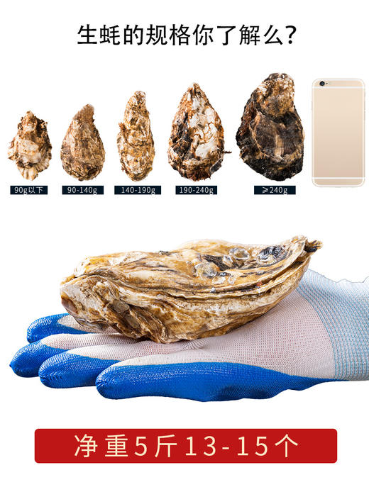 正宗乳山生蚝营养美味鲜嫩肥美味 商品图9