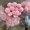 国产花材-永生【黄金球】 商品缩略图9