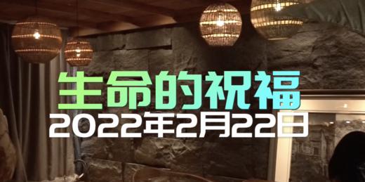 20220222定制剧《生命的祝福》 商品图0