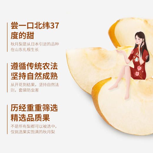 新鲜水果  秋月梨500g/份 商品图1